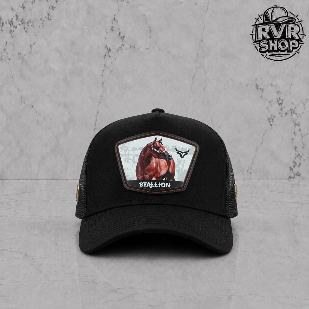 Ranch Corral Stalion