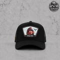 Ranch Corral Stalion